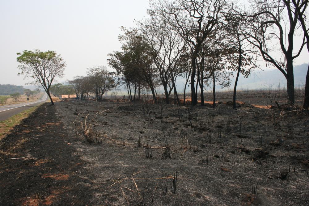 Clima mais seco acende o alerta de incêndios nos canaviais
