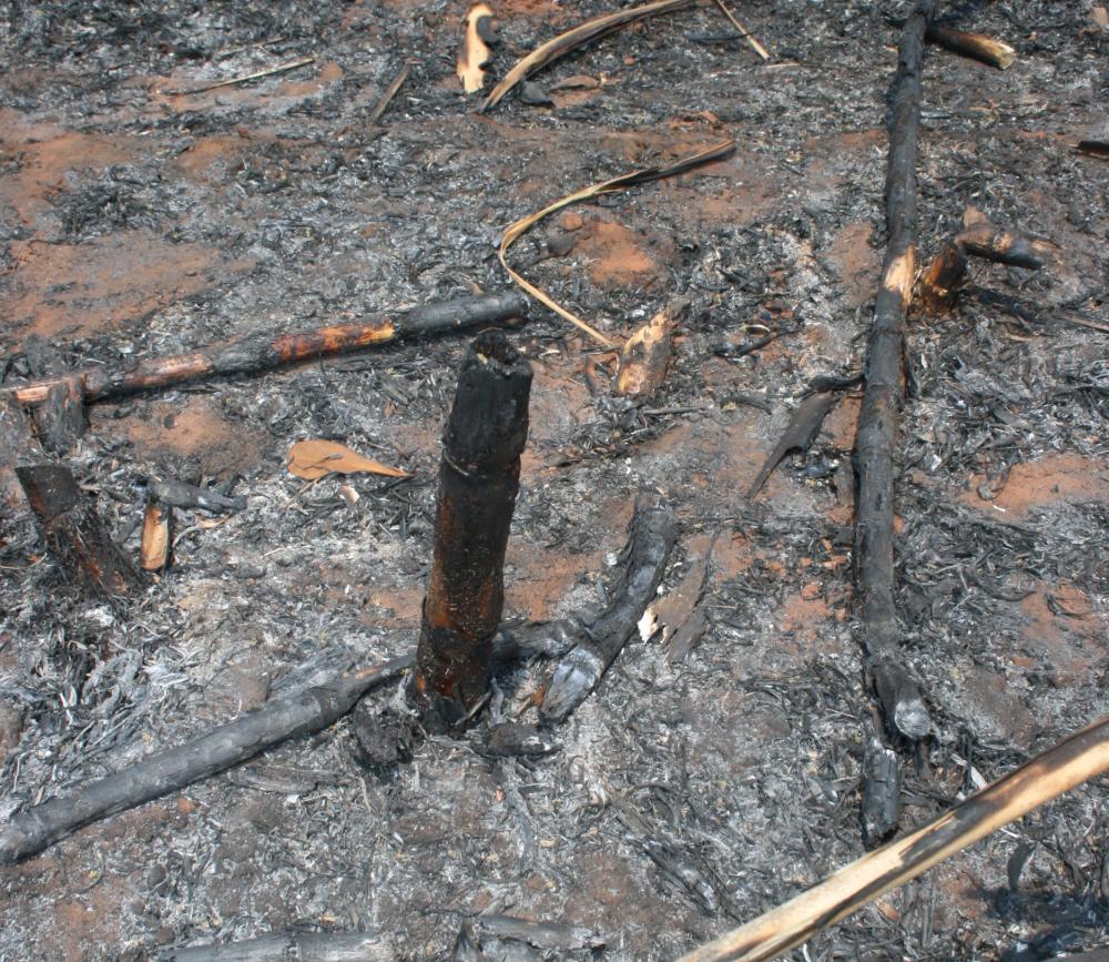 Clima mais seco acende o alerta de incêndios nos canaviais