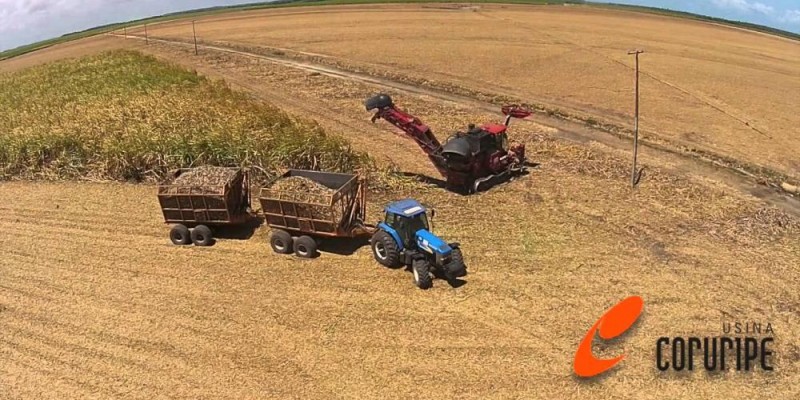 Usina Coruripe conclui captação de R$ 255 milhões