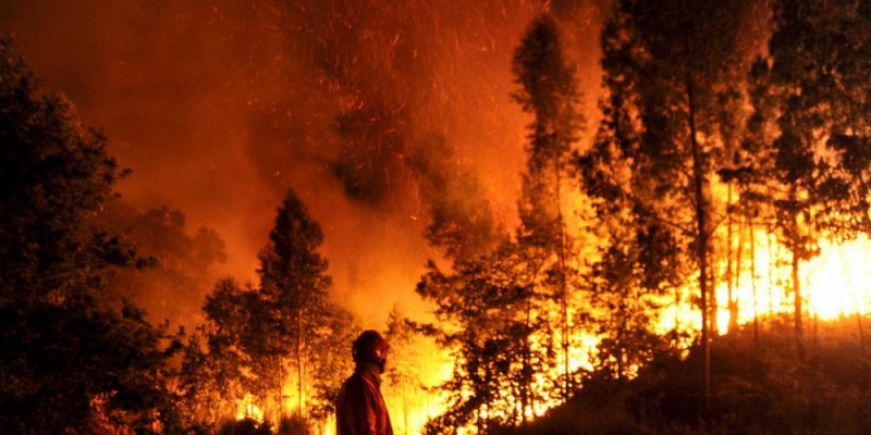 90% dos incêndios florestais são causados pelo ser humano