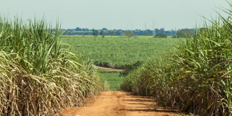 Cenário do setor sucroenergético levantado pelo Itaú BBA