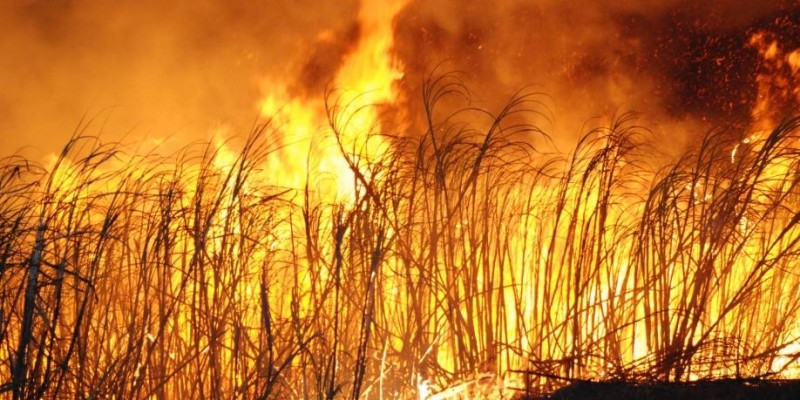 Clima mais seco acende o alerta de incêndios nos canaviais