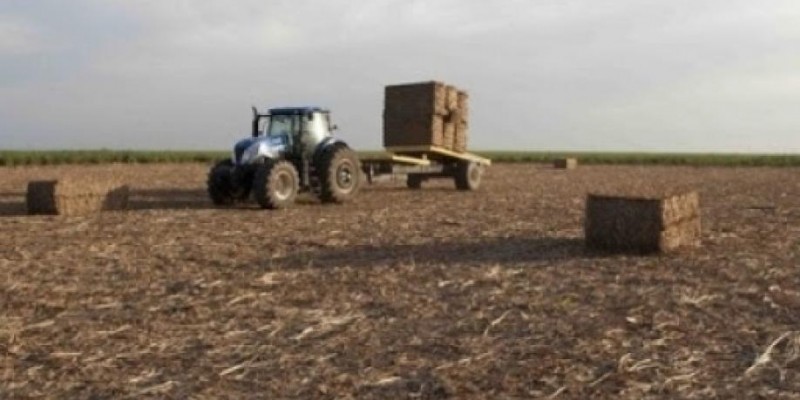 Biocombustíveis ‘high tech’ em alta