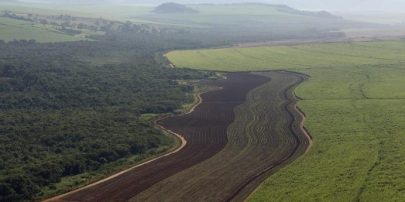 Copersucar é protagonista da economia de baixo carbono