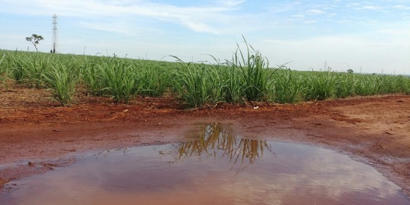 Começamos 2022 com boas notícias para o setor sucroenergético