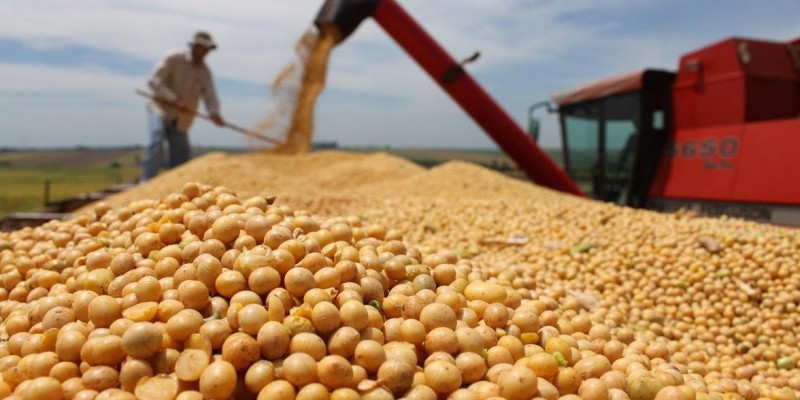Minas terá recorde de produção de grãos na safra 2022/2023