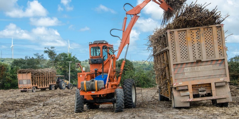 Usinas do Norte e Nordeste moeram 16,7% das previstas 60 milhões de toneladas de cana