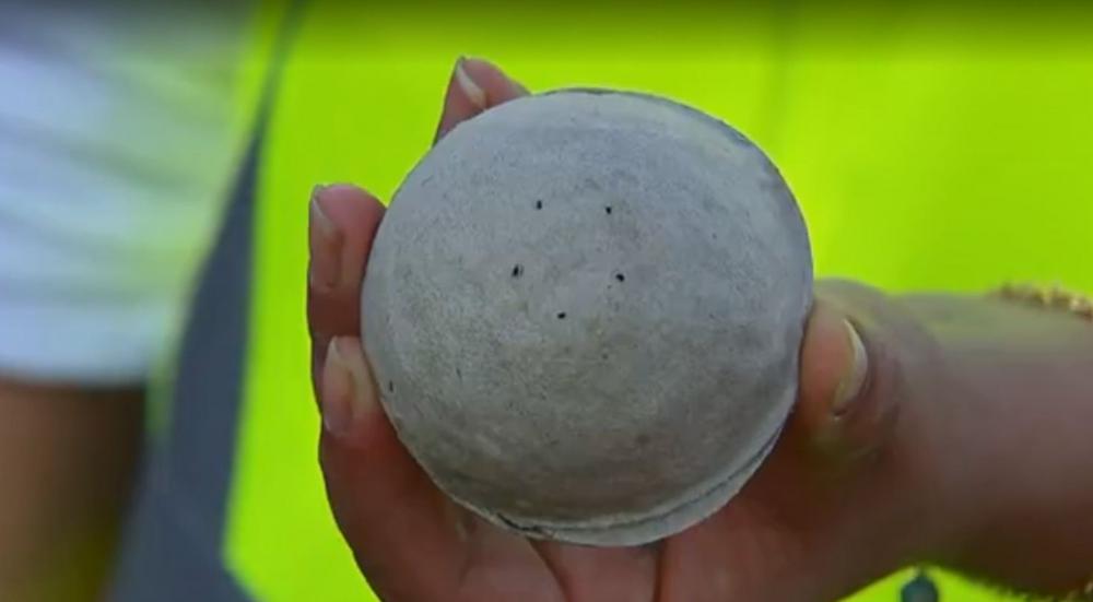 Cápsulas biodegradáveis são usadas no controle de pragas em Barra Bonita Cápsulas biodegradáveis são usadas no controle de pragas em Barra Bonita