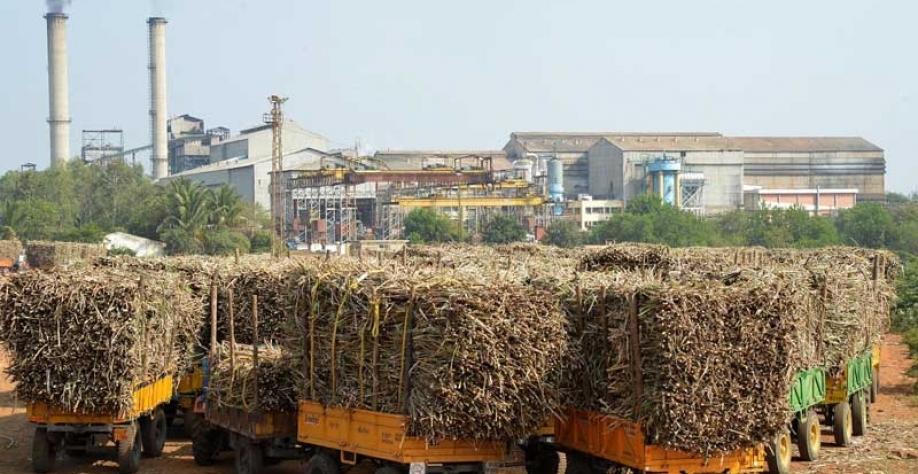 Produção global de açúcar deve avançar 1% em 2019/20, diz USDA Produção global de açúcar deve avançar 1% em 2019/20, diz USDA