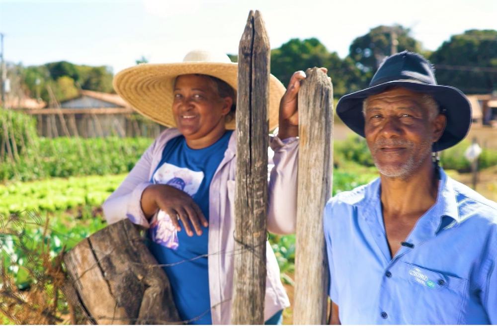 Dia do Produtor Rural Mineiro: Números mostram a importância da agropecuária no estado Dia do Produtor Rural Mineiro: Números mostram a importância da agropecuária no estado