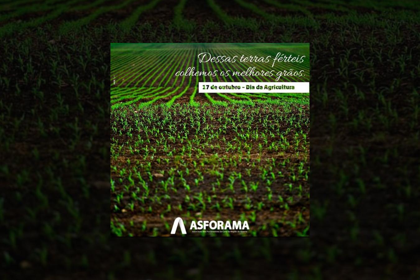 17 de Outubro Dia da Agricultura