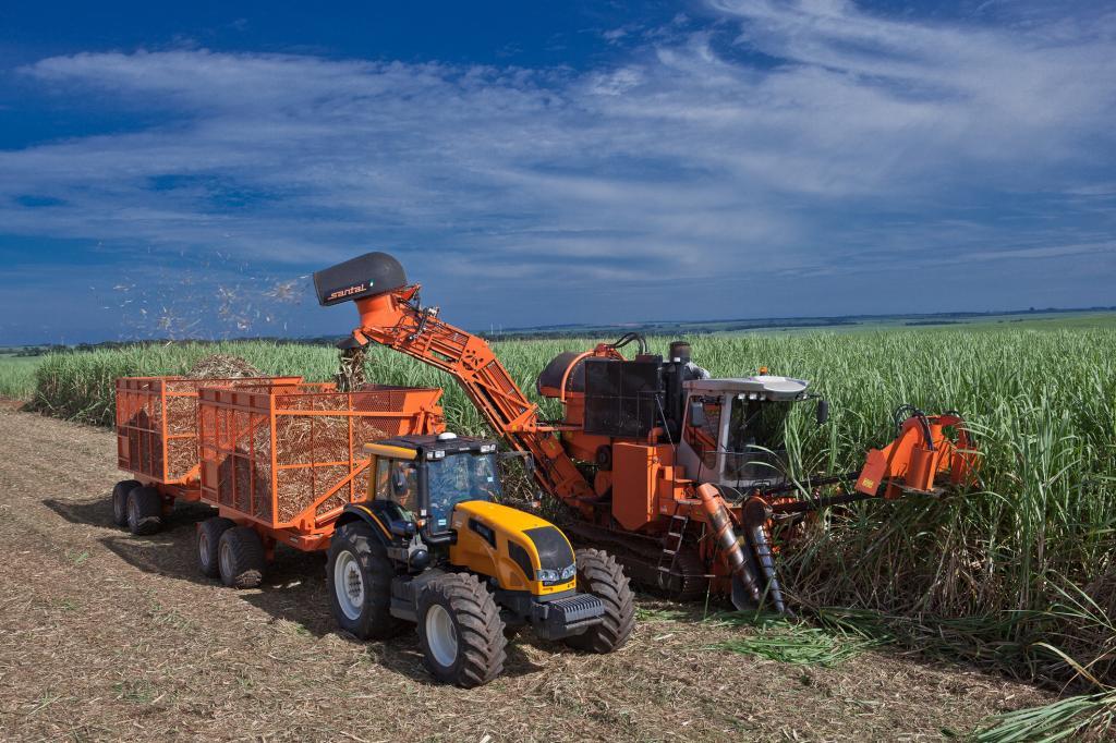 Forbes Agro100 2022: As maiores empresas do agronegócio brasileiro