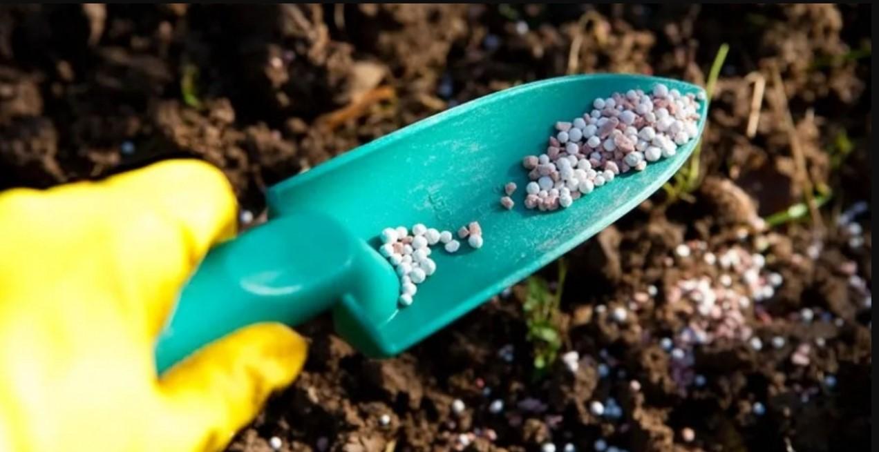 Gigantes do agro vão investir em fertilizantes organomineirais