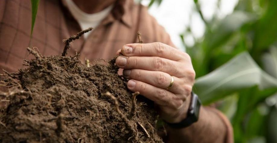 Bayer lança solução com IA para recomendar manejos focados em carbono no solo e na redução das emissões de CO2 Bayer lança solução com IA para recomendar manejos focados em carbono no solo e na redução das emissões de CO2