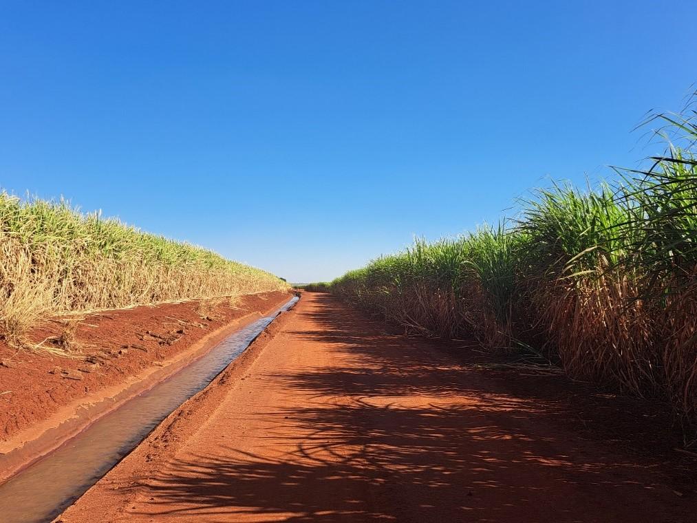 Os efeitos da irrigação no cenário canavieiro para a safra 2024/2025 Os efeitos da irrigação no cenário canavieiro para a safra 2024/2025