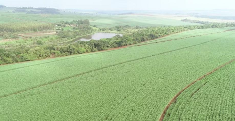 Batatais e Cevasa fecham parceria com Vivo que pode levar conectividade para mais de 700 mil hectares Batatais e Cevasa fecham parceria com Vivo que pode levar conectividade para mais de 700 mil hectares