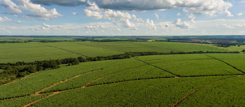 Quanto de cana será mesmo processada na safra 2026/27 no Centro-Sul?
