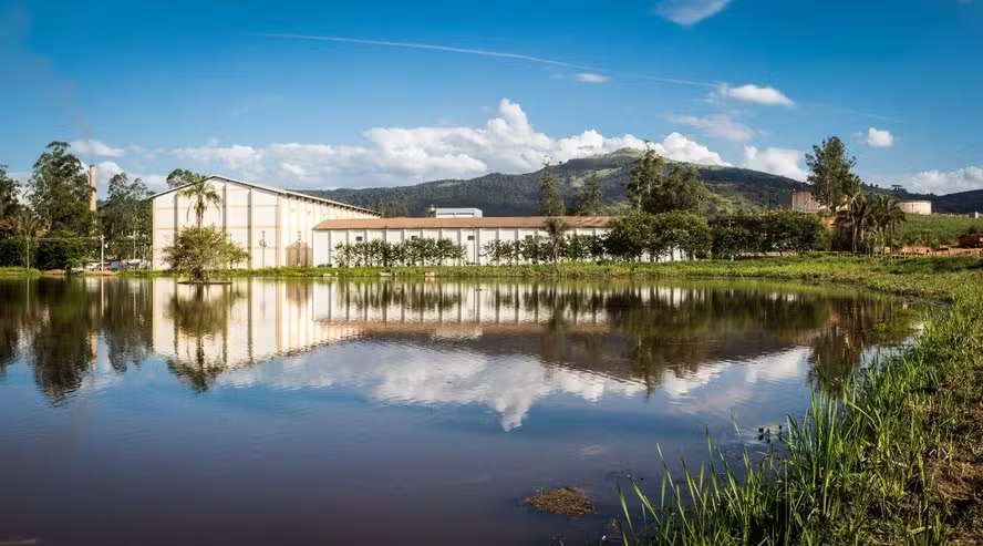Açúcar em alta e usinas com desconto podem destravar aquisições no setor sucroenergético