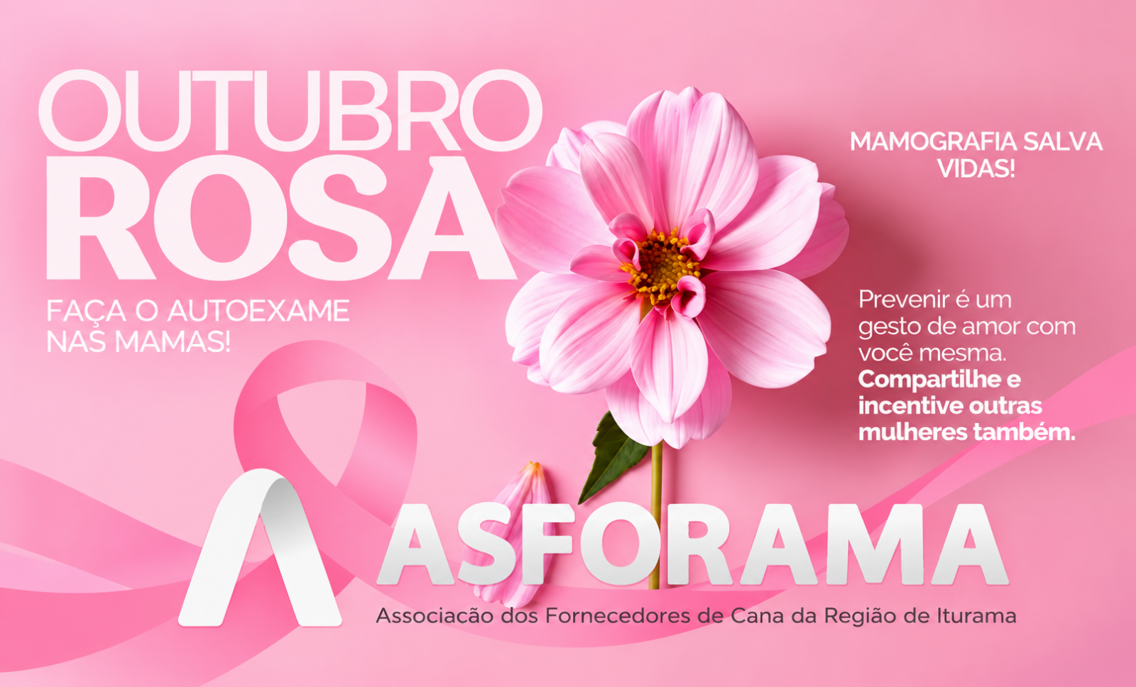 Outubro Rosa: a prevenção e o diagnóstico precoce podem salvar vidas
